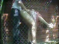 ハードオンドリの重量を体験-より多くのウェブ えろ 女