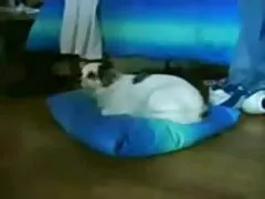 それは本当にクソ難しいです。 女性 向け の えろ